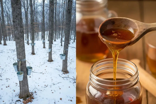Maple Syrup: What It Is and How It’s Made