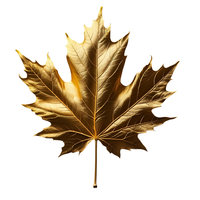 Dark black and gold composition with 
golden maple leaf, premium Canadian artisanal branding.